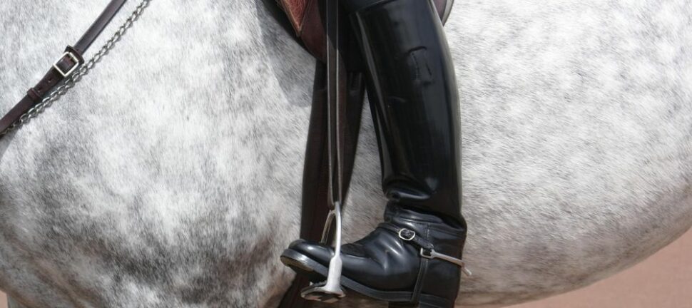 LeMieux: Hvordan de har satt sitt preg på rytterscenen