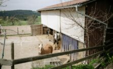 Gjerdestolper som gir solide og varige gjerder