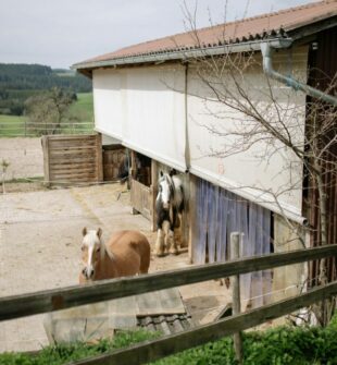 Gjerdestolper som gir solide og varige gjerder