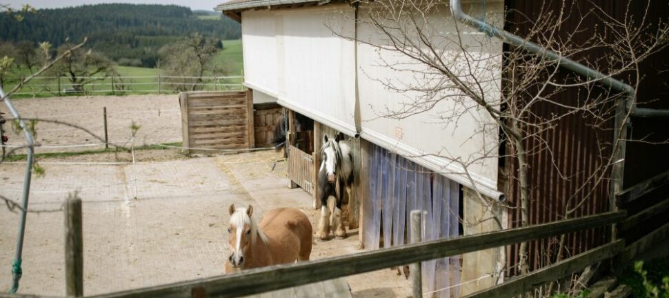 Gjerdestolper som gir solide og varige gjerder
