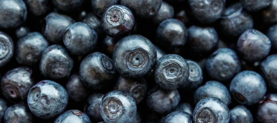 Ernæringsfysiolog  fagperson for kosthold, helse og varige endringer